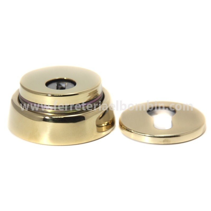 DISEC ESCUDO MODELO ROK